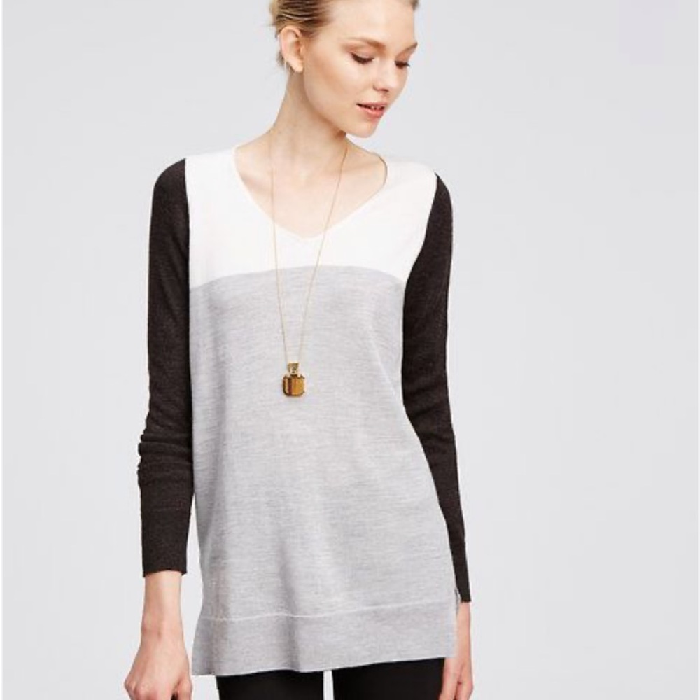 Ann Taylor Colorblock Sweater SP small petite